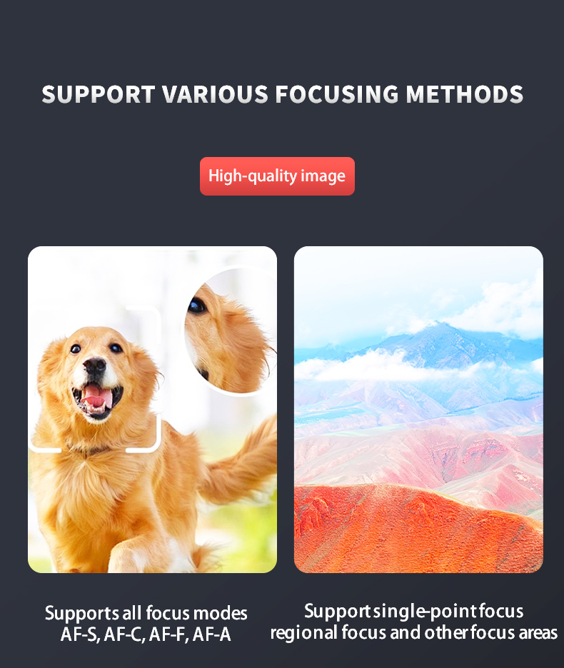 Subject detection · people, animals, birds